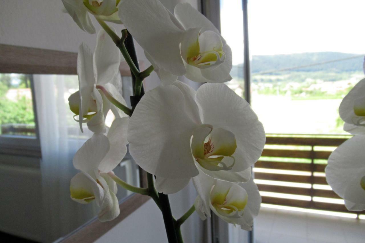 Apartman Maja Apartment โอโทชาส ภายนอก รูปภาพ